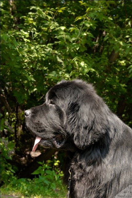 Фотография № 72903