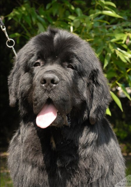 Фотография № 72913