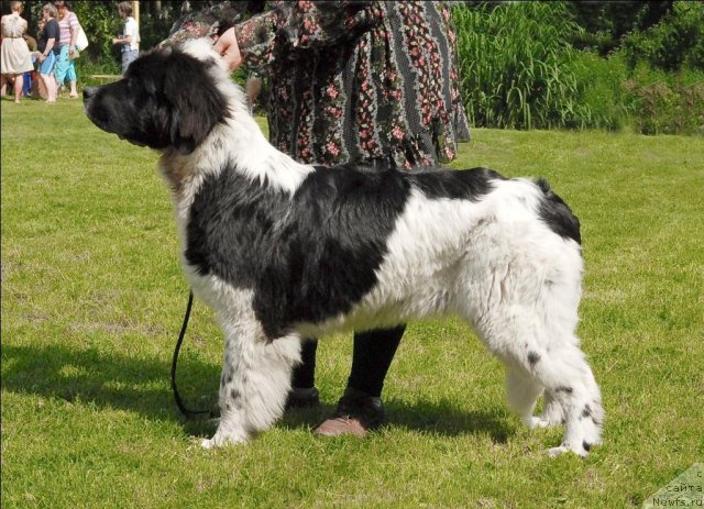 Фотография № 72920