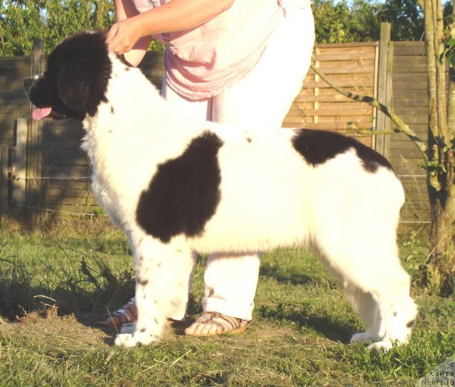 Фотография № 72928