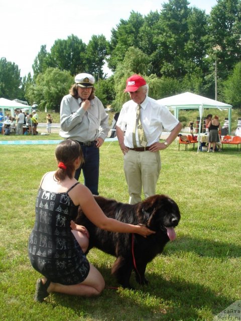 Фотография № 72952