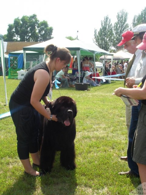 Фотография № 72961