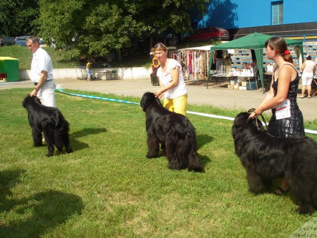 Фотография № 72963