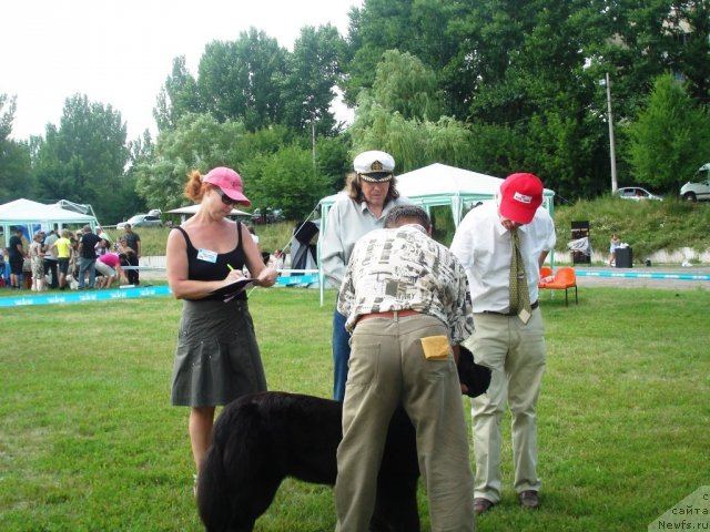 Фотография № 72967