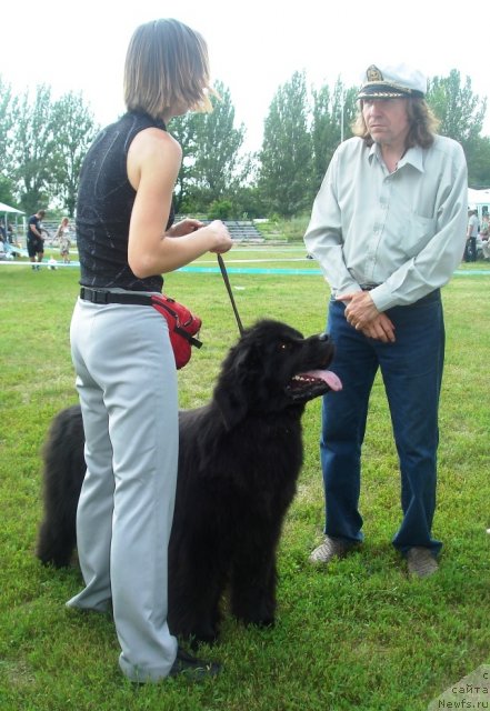 Фотография № 72969