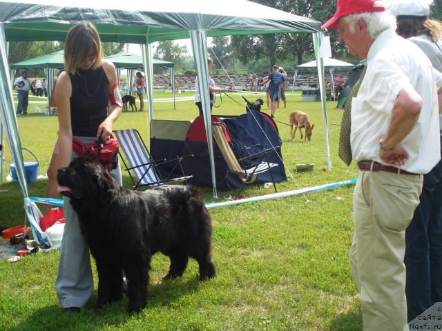 Фотография № 72970