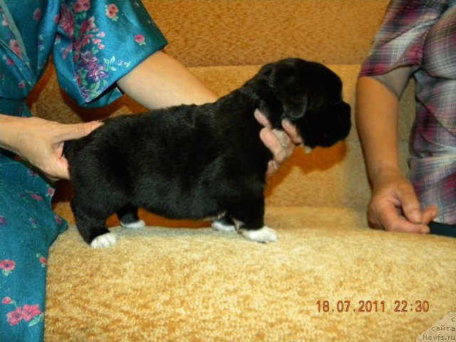 Фотография № 72986