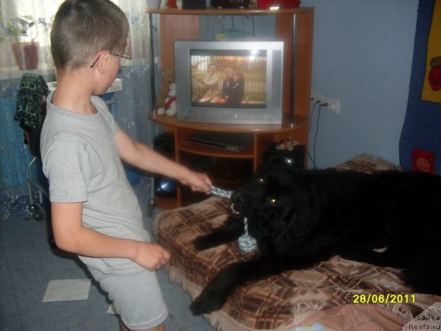 Фото: Лёша и [d8380]