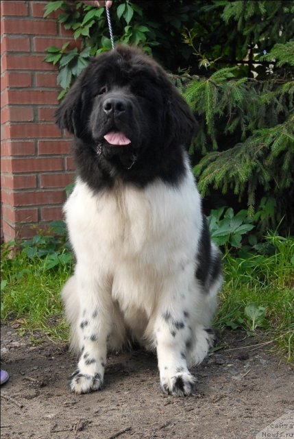 Фотография № 72994