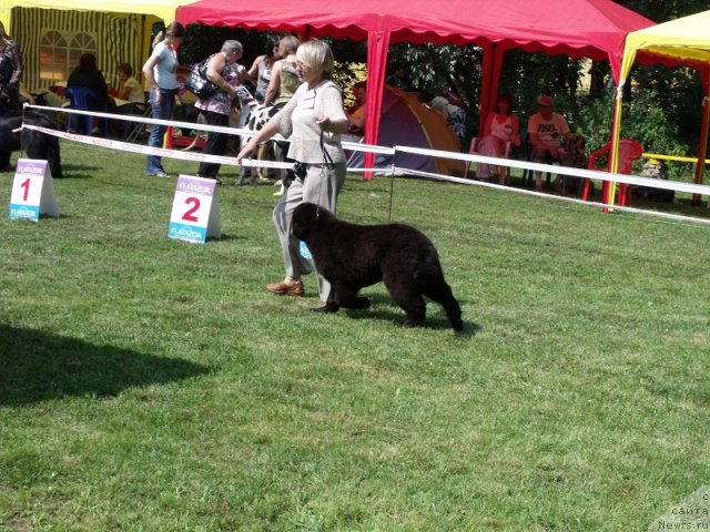 Фотография № 73014