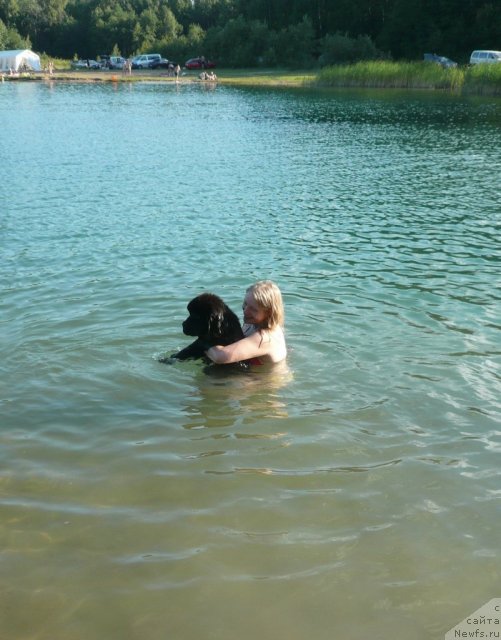 Фотография № 73024