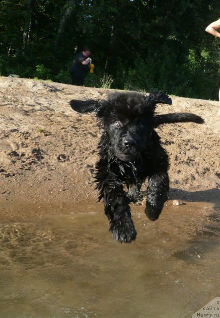 Фотография № 73025