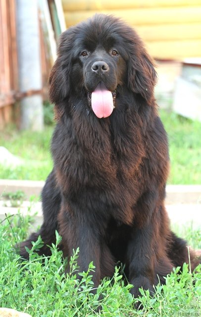 Фотография № 73037