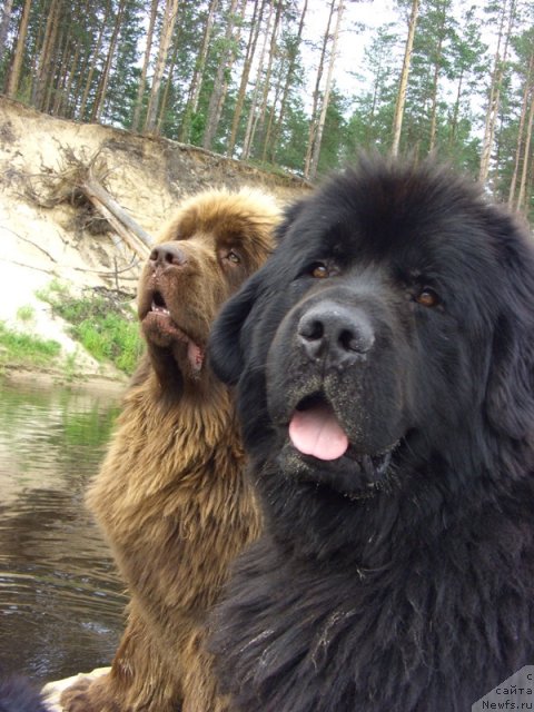 Фотография № 73136