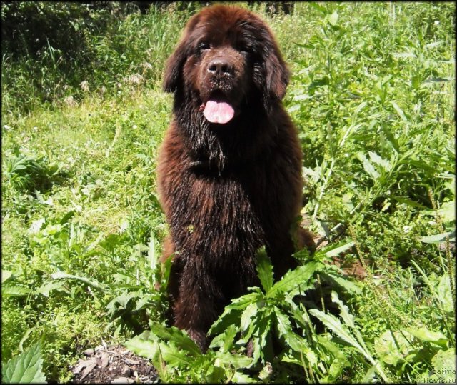 Фотография № 73166