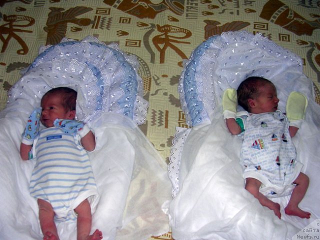 Фотография № 73190