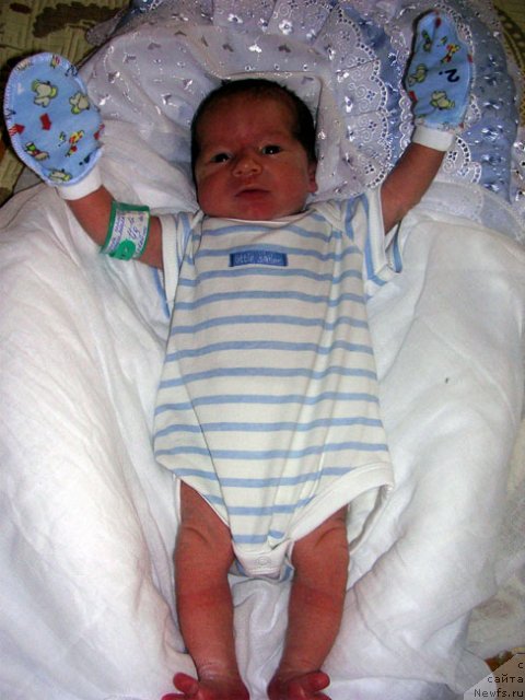 Фотография № 73191