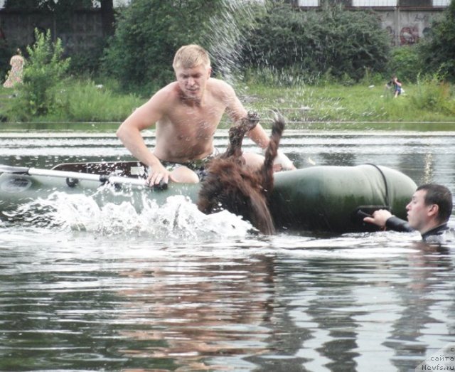 Фотография № 73195