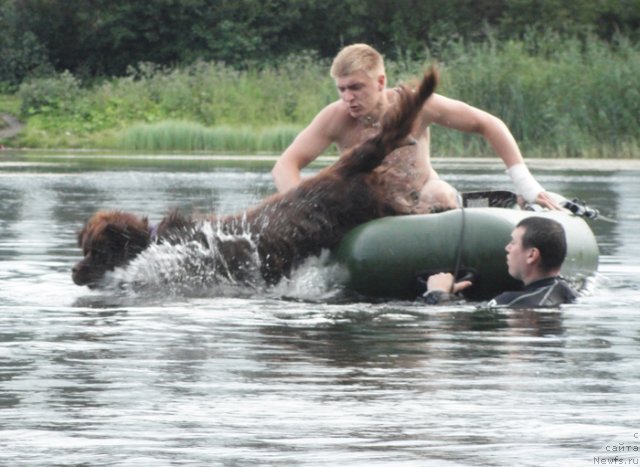 Фотография № 73196