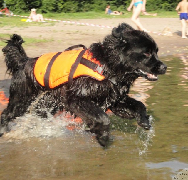 Фотография № 73197