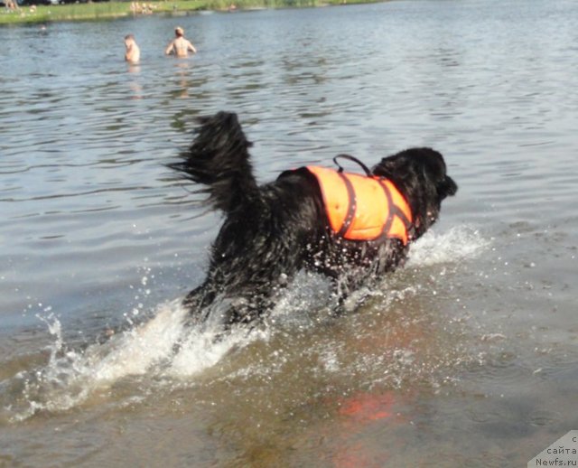 Фотография № 73198