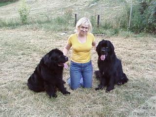 Фото: Наталия Данилова