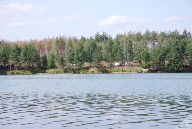 Фотография № 73200