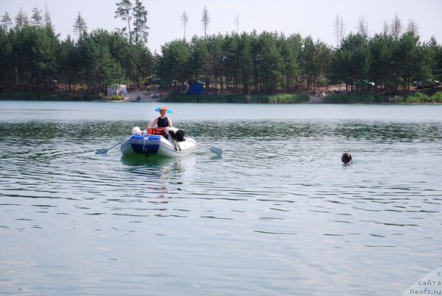 Фотография № 73207