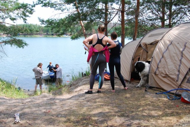 Фотография № 73210