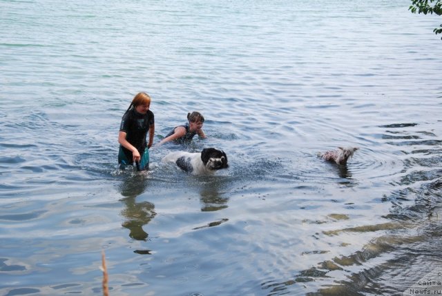 Фотография № 73213