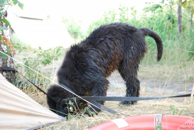 Фотография № 73217