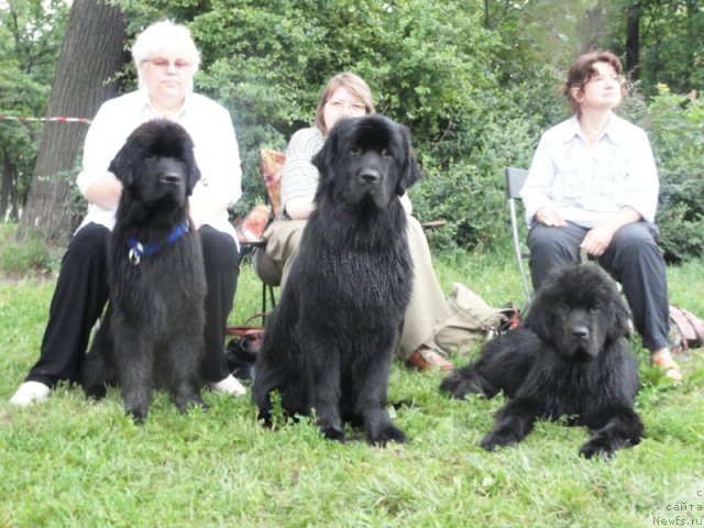 Фотография № 73234