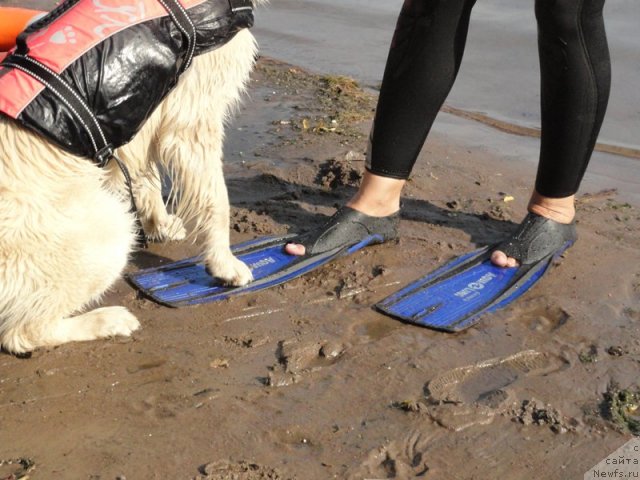 Фотография № 73236