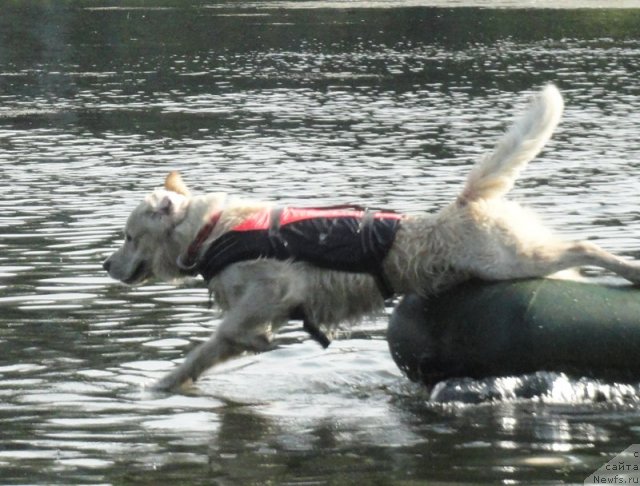 Фотография № 73237