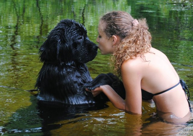 Фотография № 73298