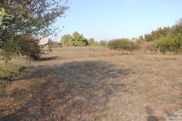 Фотография № 73304