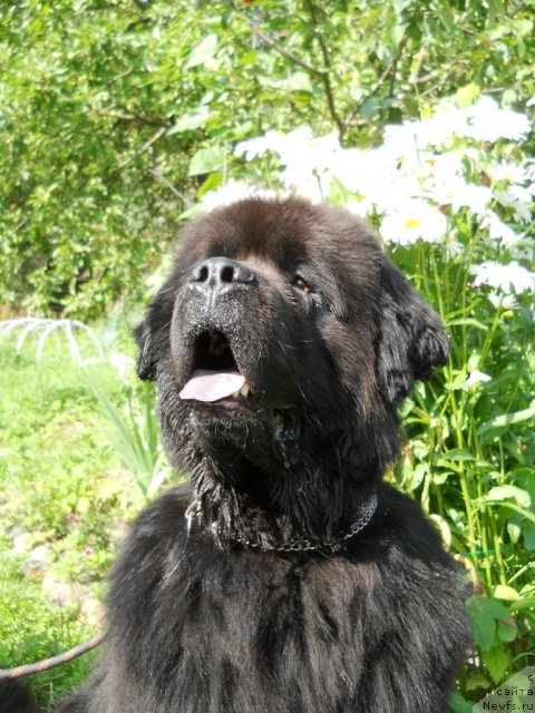 Фотография № 73314