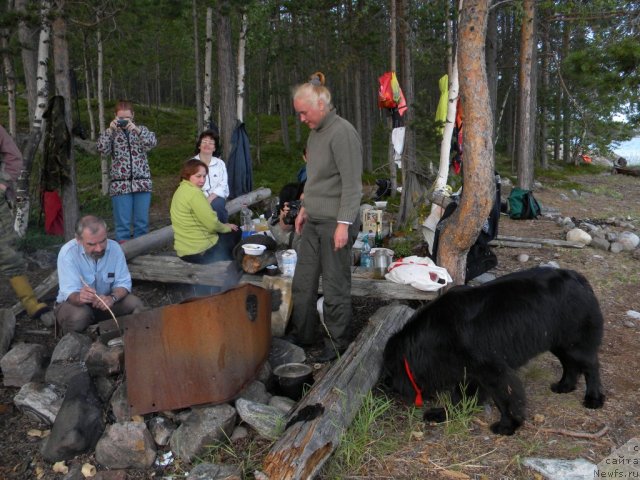 Фото: Любовь Жакова, ньюфаундленд Акватория Келвин Кадриль (Aquatoriya Kelvin Kadril), и их коллеги