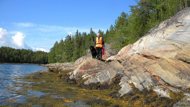 Фото: ньюфаундленд Акватория Келвин Кадриль (Aquatoriya Kelvin Kadril), Любовь Жакова