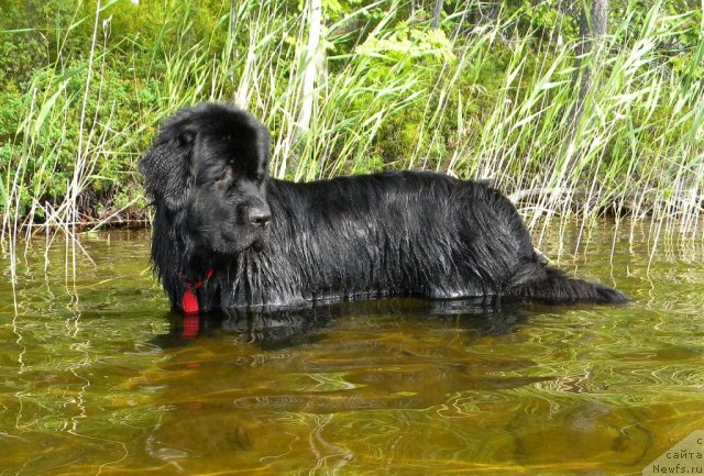 Фотография № 73361