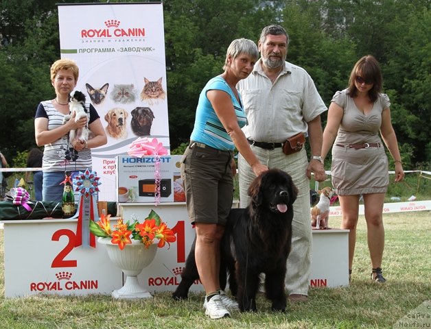 Фотография № 73375