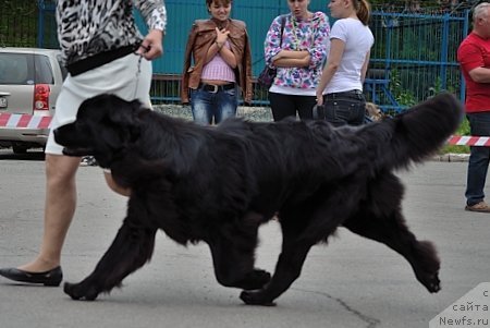 Фотография № 73376