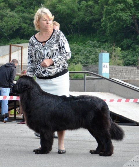 Фотография № 73380