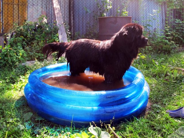 Фотография № 73408