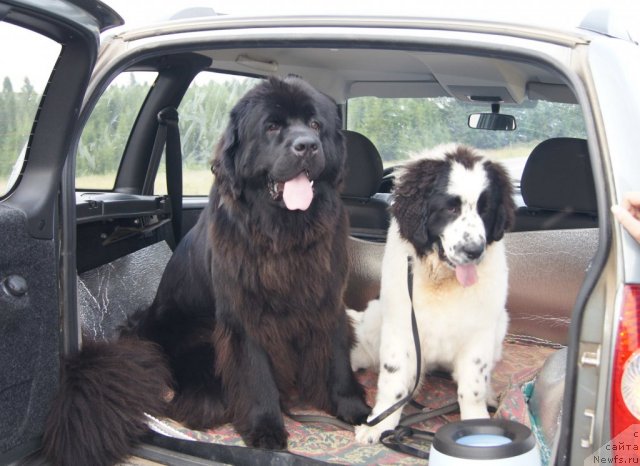 Фотография № 73413