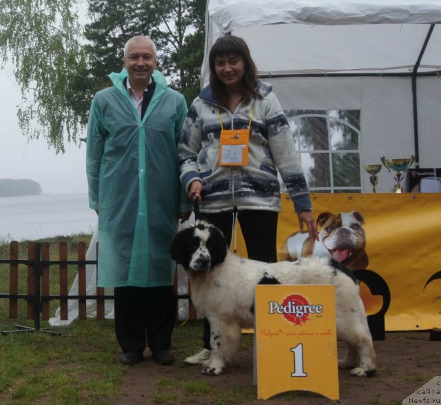 Фотография № 73416