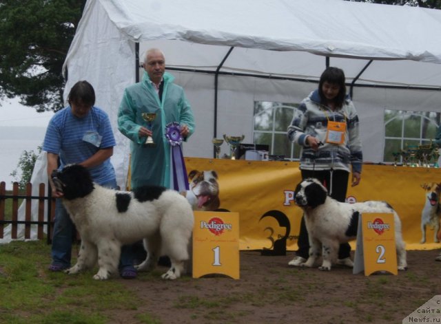 Фотография № 73417