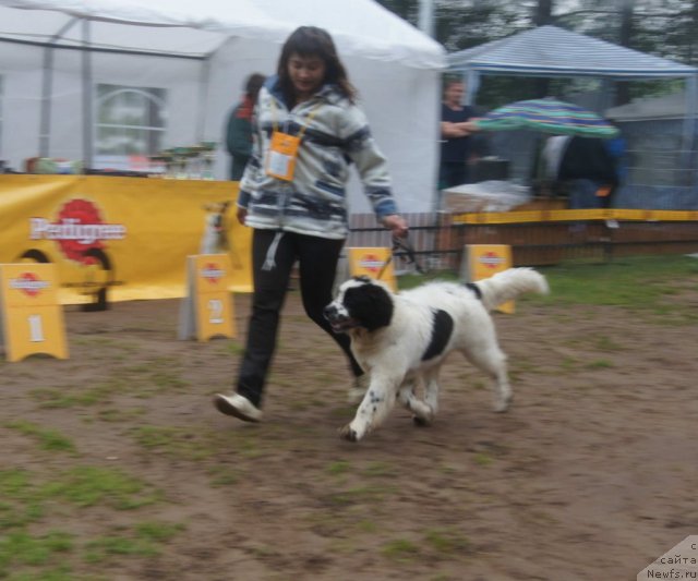 Фотография № 73418