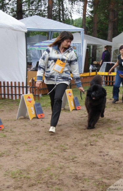 Фотография № 73420