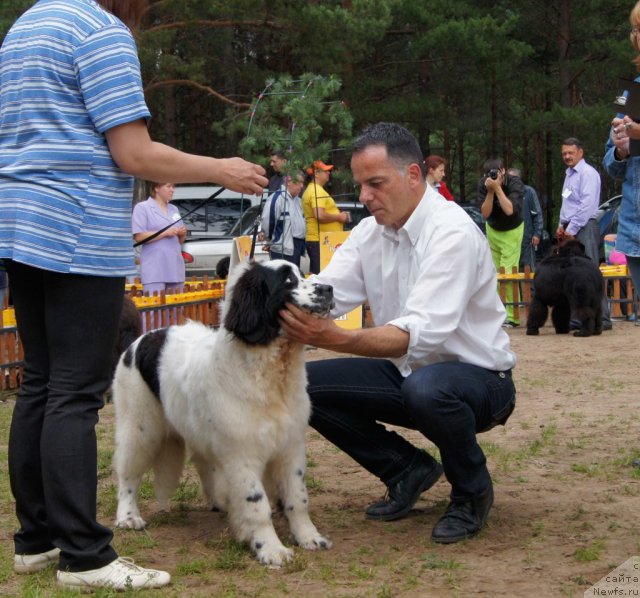 Фотография № 73422